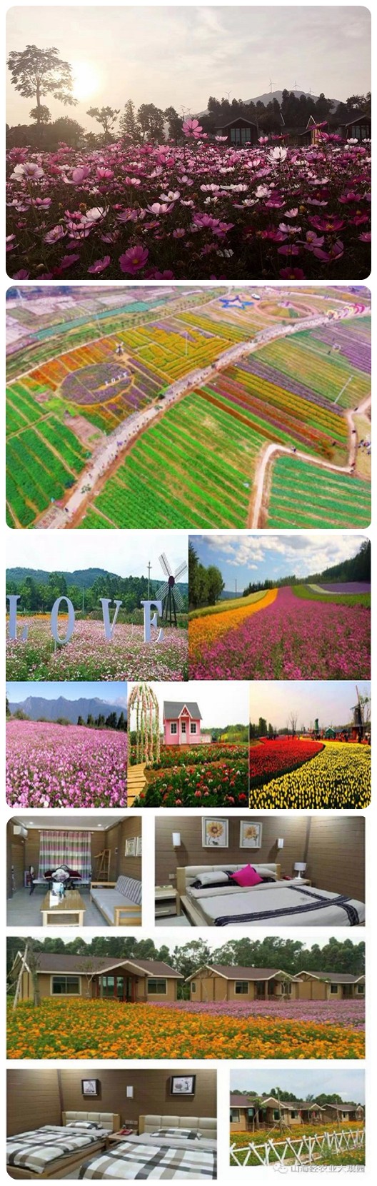 山海經(jīng)花海拓展基地1.jpg