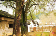 團(tuán)建圖片