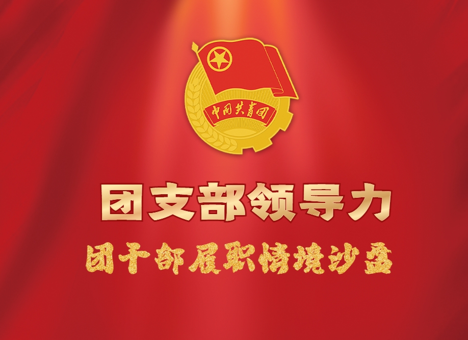《團(tuán)支部領(lǐng)導(dǎo)力》團(tuán)干部履職情境沙盤