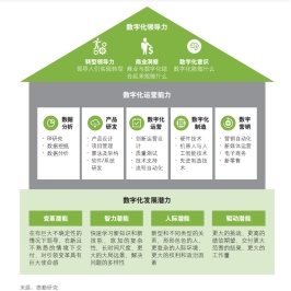 團(tuán)建圖片