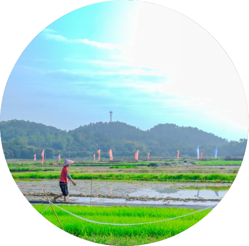 圖片1.png