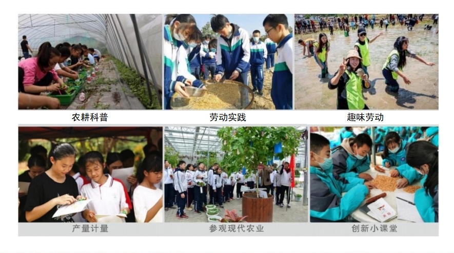 微信截圖_20250528105839.png