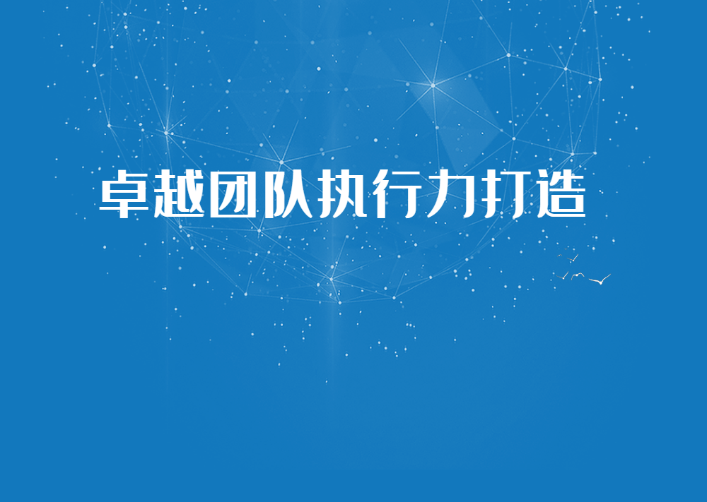 《卓越團隊執(zhí)行力打造》沙盤