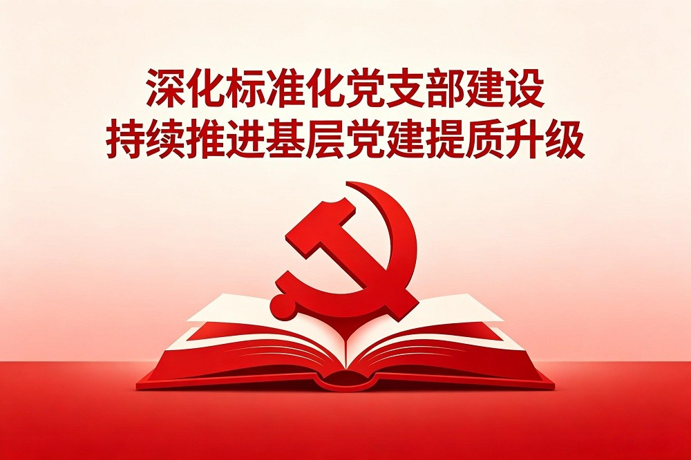深化標(biāo)準(zhǔn)化黨支部建設(shè)，持續(xù)推進(jìn)基層黨建提質(zhì)升級