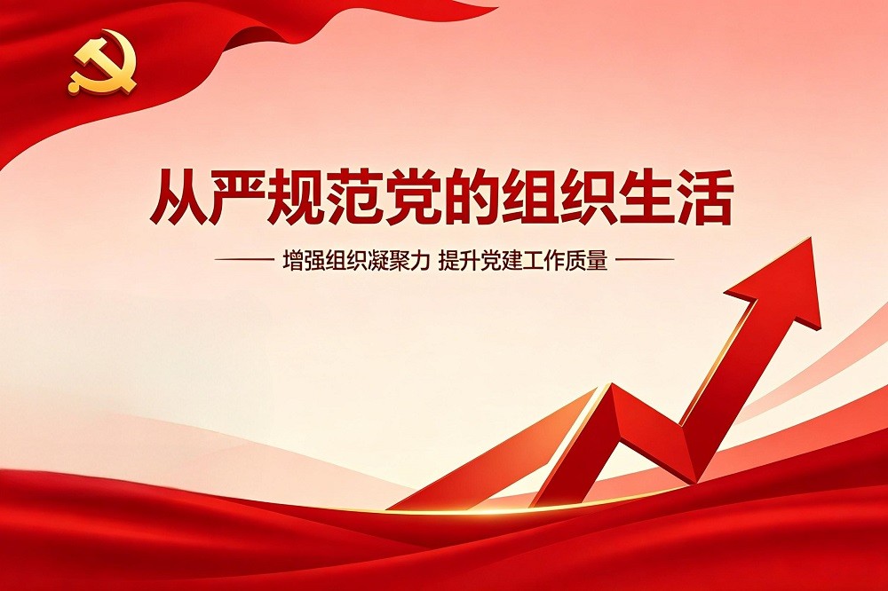 從嚴(yán)規(guī)范黨的組織生活